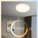LED Bedroom Golden Ceiling Light 24W Embedded RGB Backlight Flat Round Light