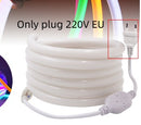LED Flexible Neon Light With Neon Tube Waterproof Light Strip 220V High Voltage Modeling 2835 Soft Light Strip