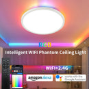 LED Bedroom Golden Ceiling Light 24W Embedded RGB Backlight Flat Round Light