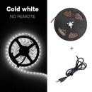 60LED 5MRGB light strip